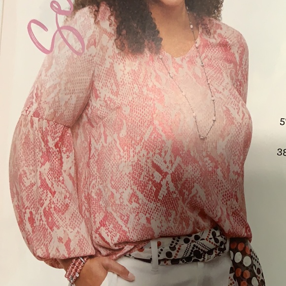 Cute lightly worn Bethany Blouse by Cabi - Picture 8 of 8